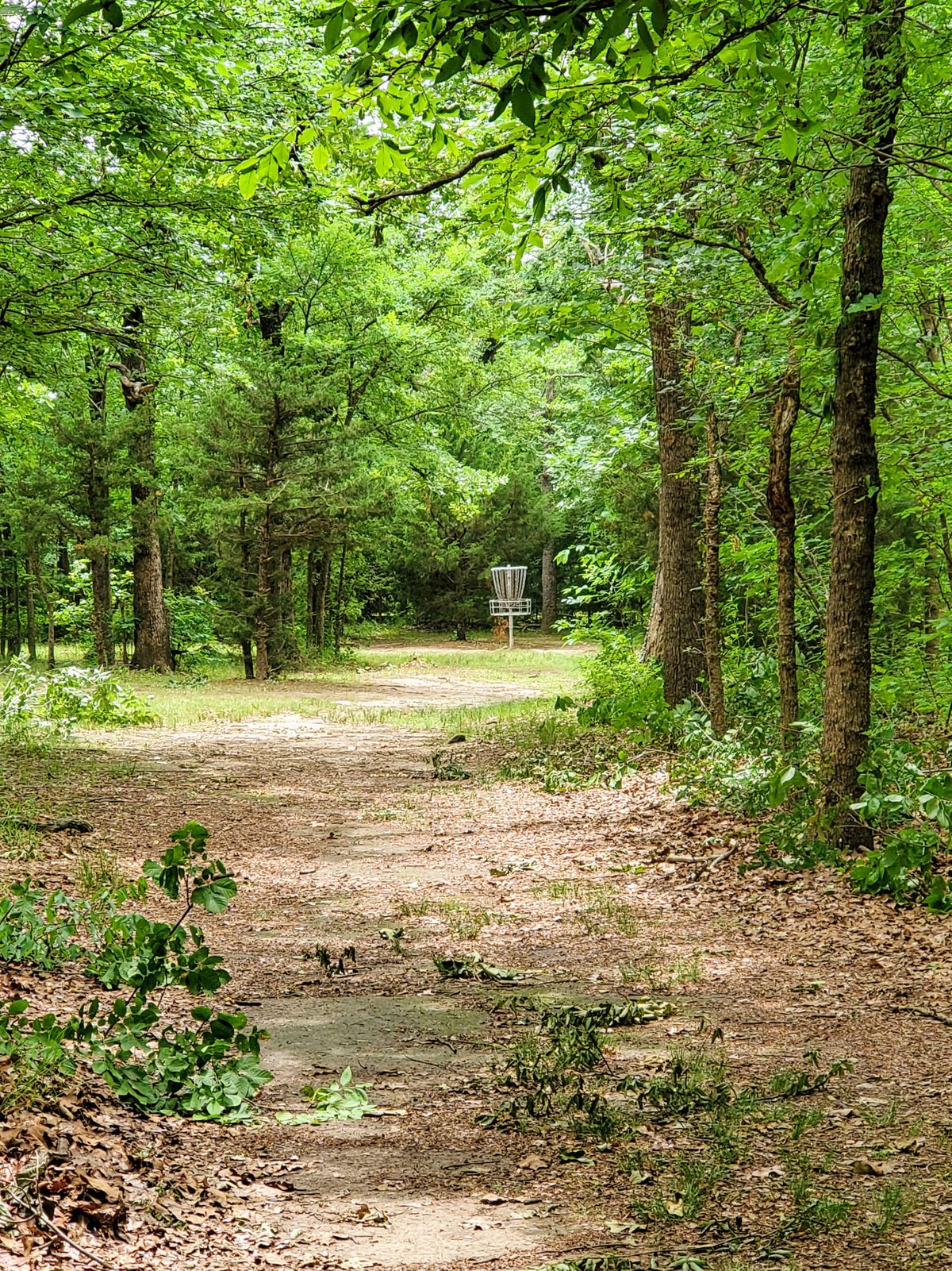 ChandlerPark-Moose Run Disc Golf Course3